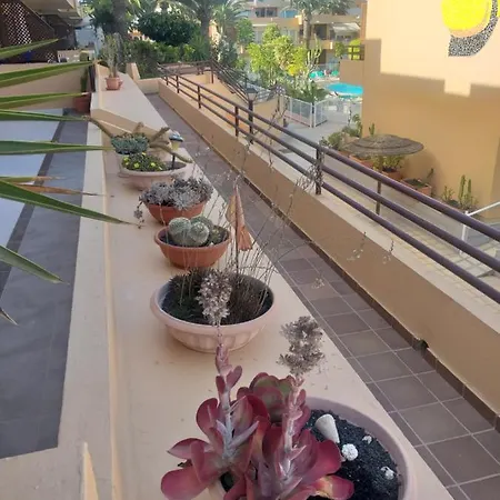 Casa El Nidillo Appartement