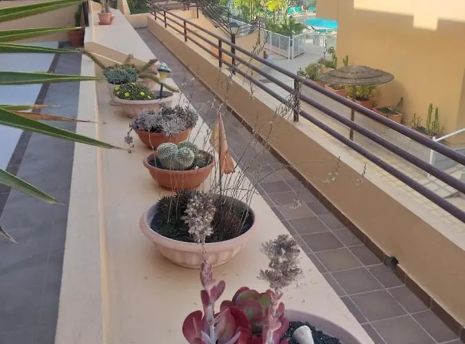 Casa El Nidillo شقة